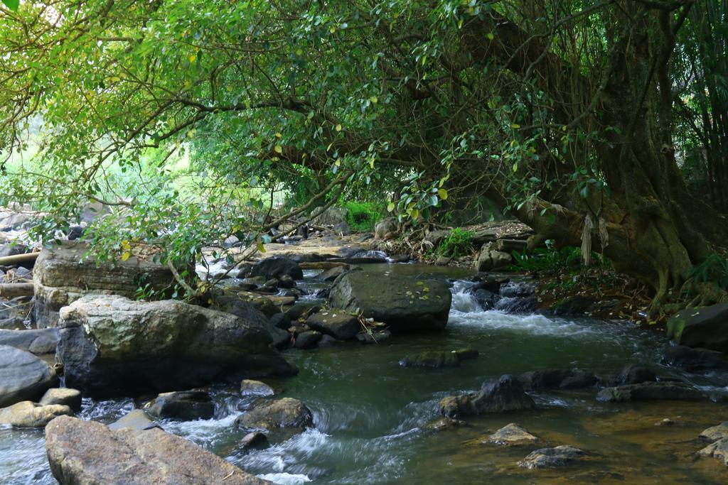 Nivahana Homestay Kandy Exteriér fotografie