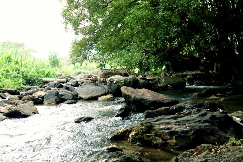Nivahana Homestay Kandy Exteriér fotografie