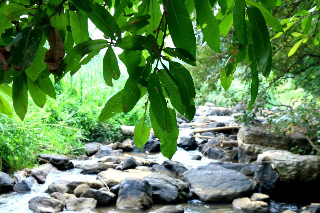 Nivahana Homestay Kandy Exteriér fotografie