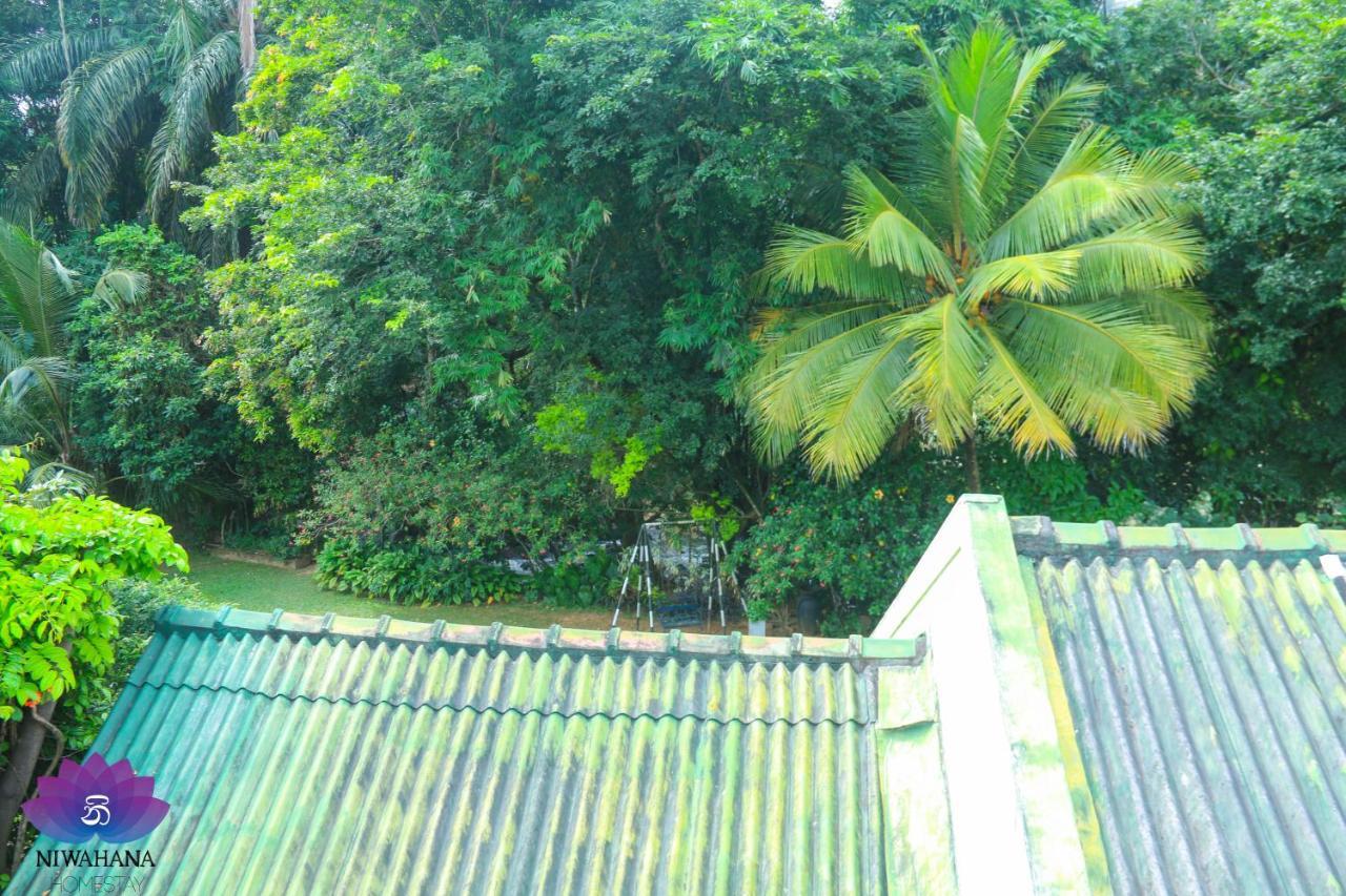 Nivahana Homestay Kandy Exteriér fotografie