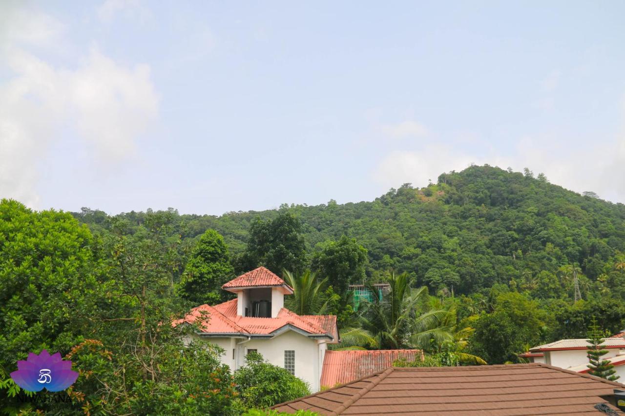 Nivahana Homestay Kandy Exteriér fotografie